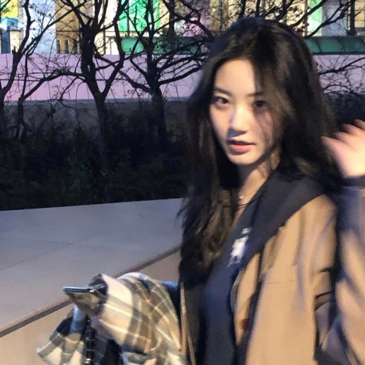 天蛾人的预言