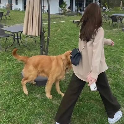 赖小子