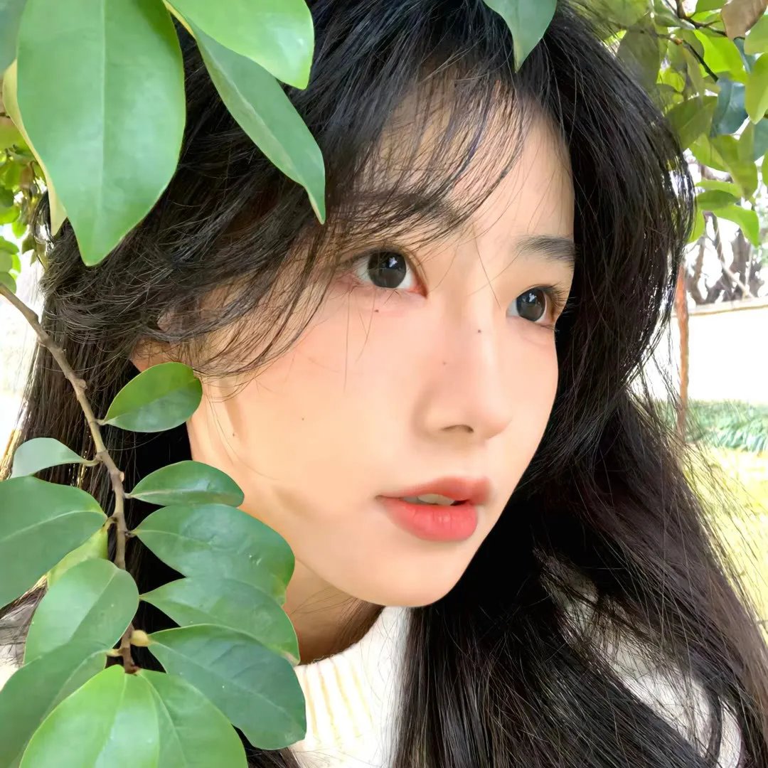 毛衣女郎